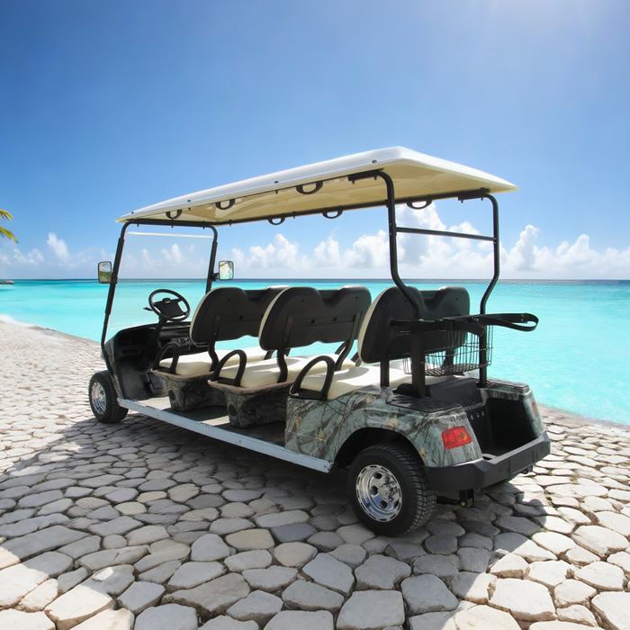 Sightseeing Vehicle 6 Passenger Person Seat Electric Buggy Golf Cart - Eagle Golf Cart Sightseeing Vehicle 6 Passenger Person Seat Electric Buggy Golf Cart - Eagle Golf Cart