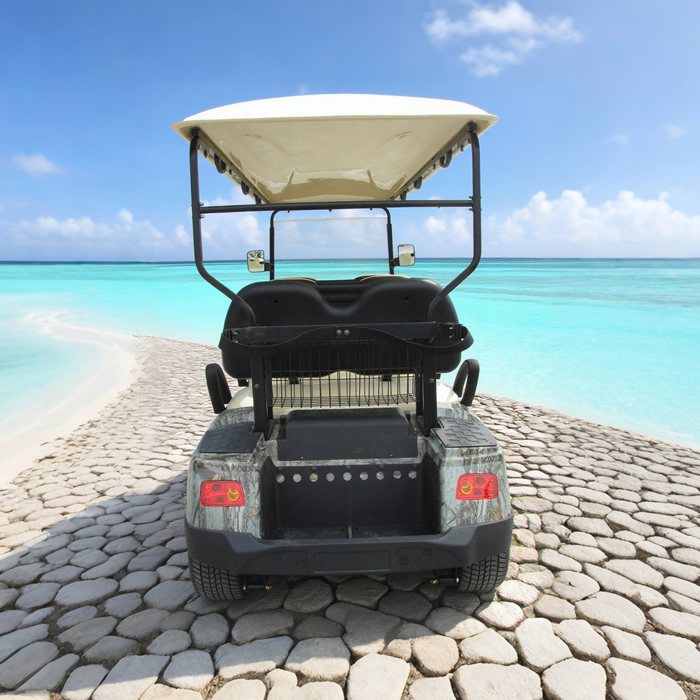 Sightseeing Vehicle 6 Passenger Person Seat Electric Buggy Golf Cart - Eagle Golf Cart Sightseeing Vehicle 6 Passenger Person Seat Electric Buggy Golf Cart - Eagle Golf Cart