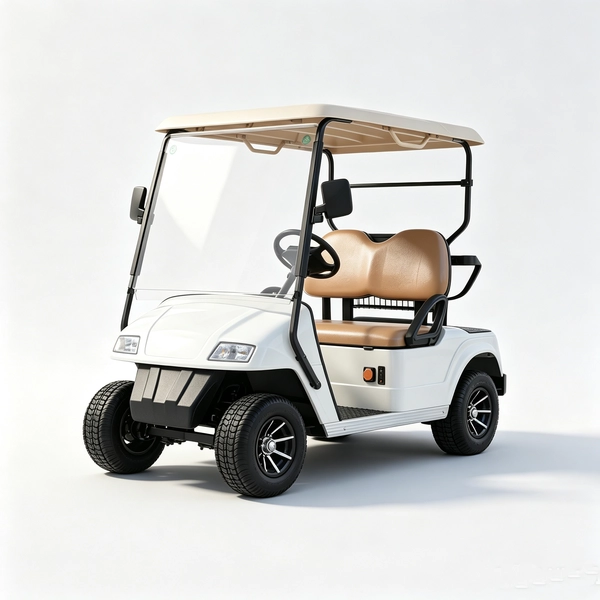2-seater-electric-golf-cart (1)_EAGLE 2-seater-electric-golf-cart (1)_EAGLE