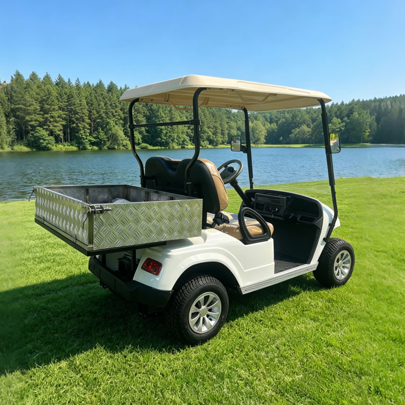Golf Cart With Aluminum Cargo Box