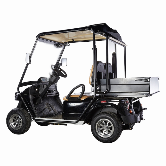 Custom Mimi Electric Golf Cart Buggy Off Road With Box - 2028HR