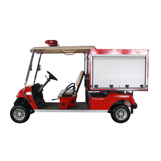 Custom 2 Seats Mini Electric Fire Food Golf Cart with Box - EG6010F