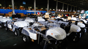 golf cart electric.jpg