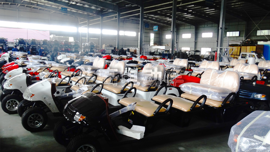 6 seater golf cart