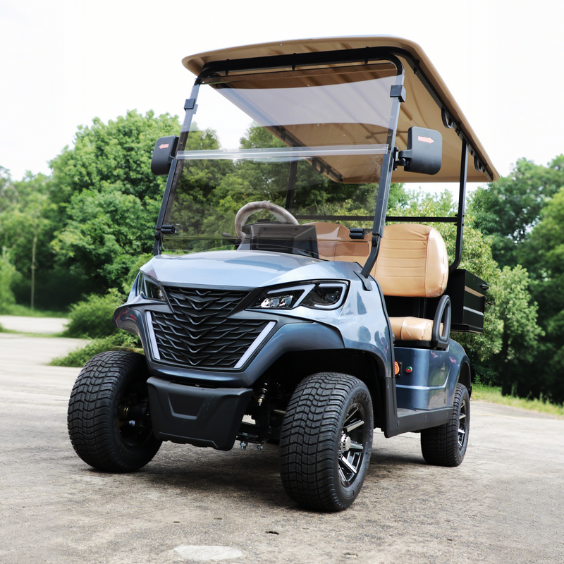 Mini Electric Golf Buggy Carts with Cargo Dump Bed - EG202EH