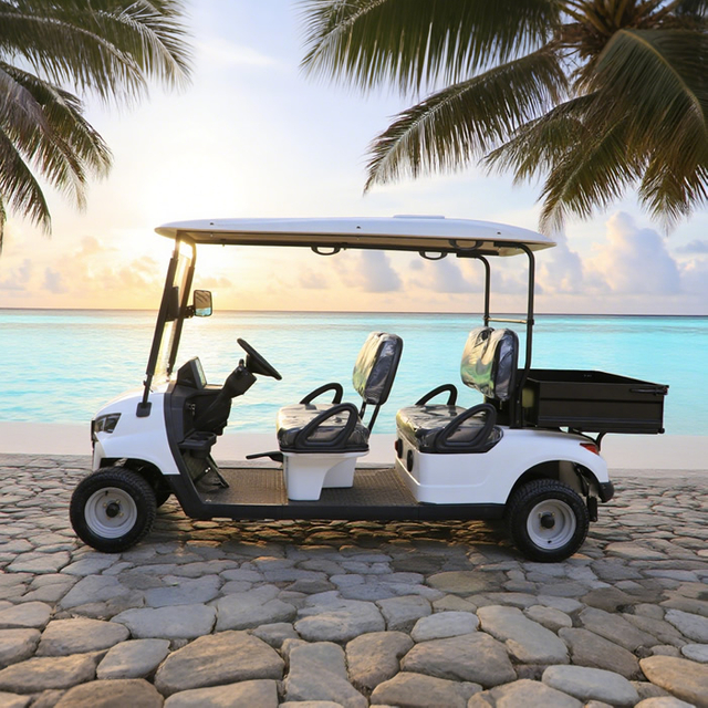 48v 4 seater golf cart with cargo box