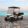 Utility Golf Carts Buggy with Cargo Box
