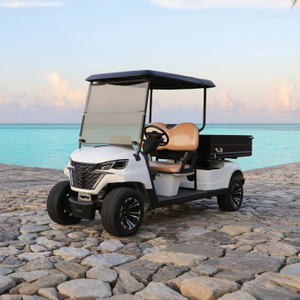 Utility Golf Carts Buggy with Cargo Box