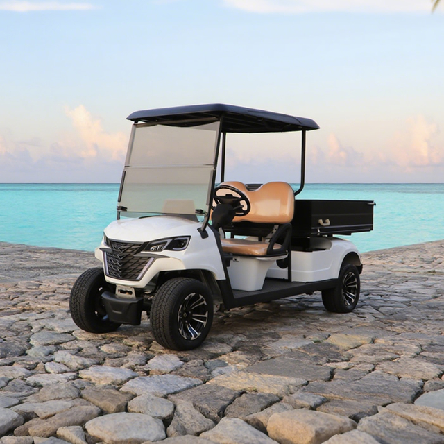 Utility Golf Carts Buggy with Cargo Box