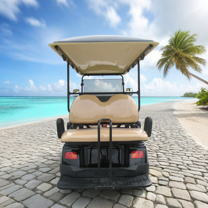 OEM ODM Chinese 48v Electric Custom Lithium Battery 6 Seater Golf Cart - Eagle Golf Cart