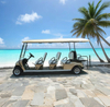 Wholesale Custom Lithium Battery 48V Electric 8 Seater Golf Cart Manufacturer - Eagle Golf Cart