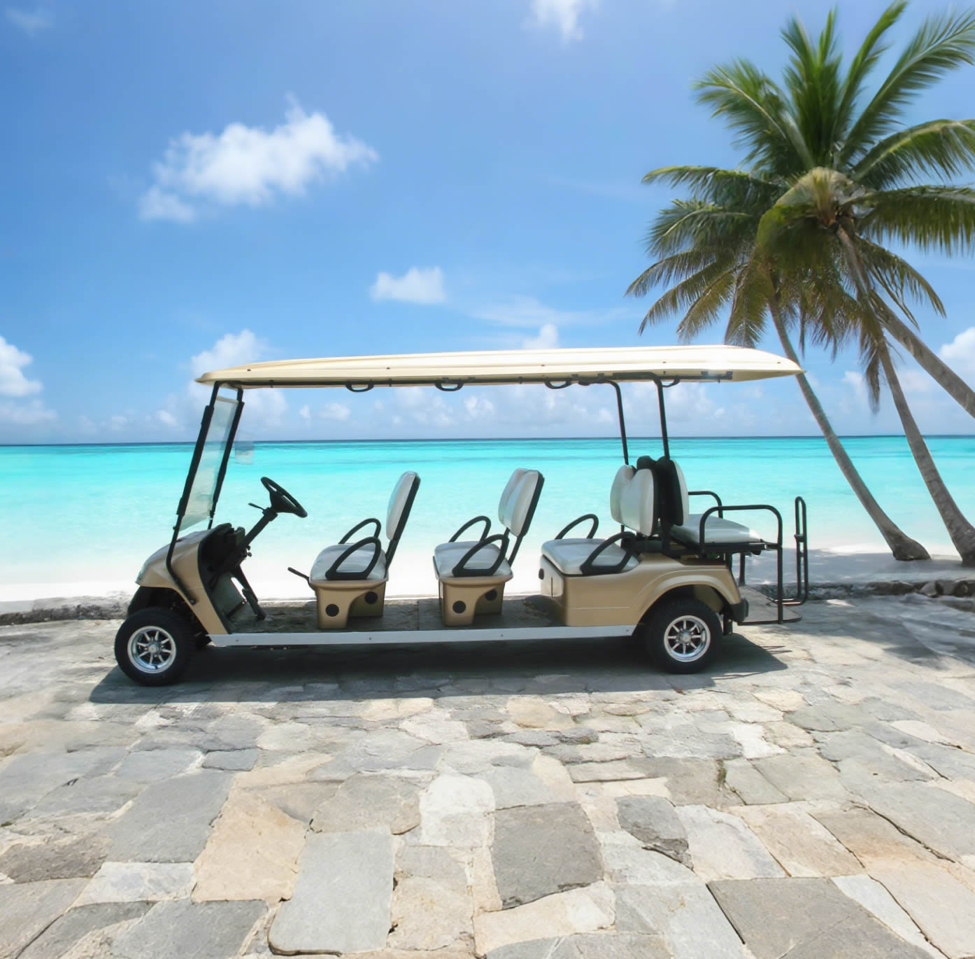 Wholesale Custom Lithium Battery 48V Electric 8 Seater Golf Cart Manufacturer - Eagle Golf Cart