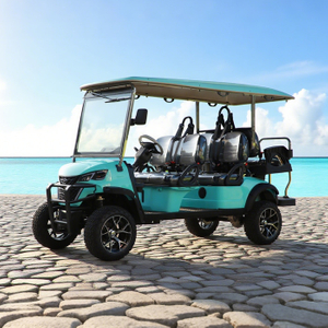 Wholesale Custom Lithium Electric Lifted Carts Golf Cart 6 Seater