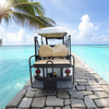 Custom 6 Seater Street Legal Electric Golf Cart - 2048HSZR