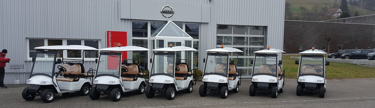 battery-powered electric patrol golf carts