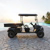 Electric Off Road Lifted Utility Golf Cart with Cargo Box - Eagle Golf Cart