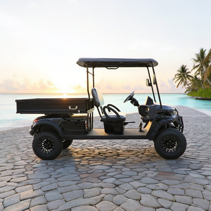 Electric Off Road Lifted Utility Golf Cart with Cargo Box - Eagle Golf Cart