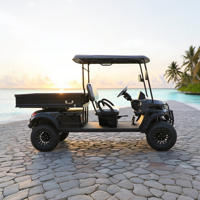 Electric Off Road Lifted Utility Golf Cart with Cargo Box - Eagle Golf Cart