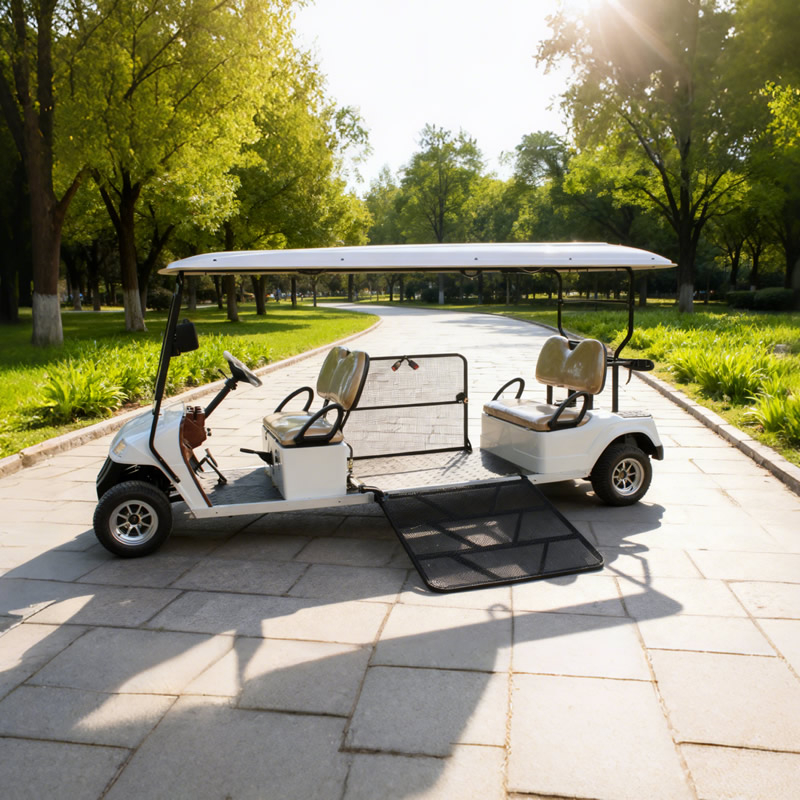 Custom Wholesale Disabled Utility Handicapped Golf Cart Manufacturer