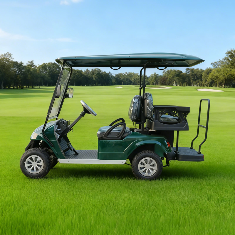 Custom Mini Electric LSV Golf Cart Golf Buggy Carts for Sale - EG2028KSZ