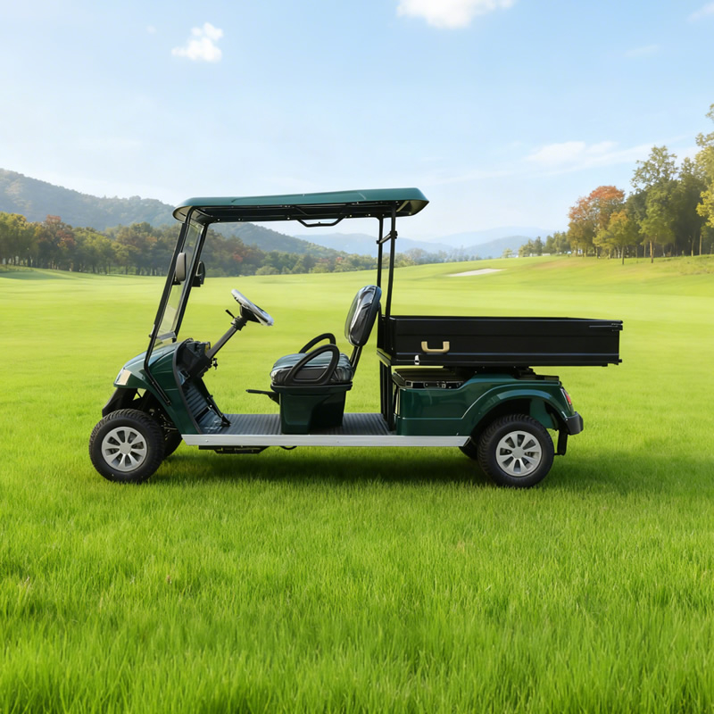 Custom Manufacturer Company Golf Cart Price with Cargo Dump Bed
