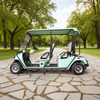 Custom Street Legal Electric Golf Cart