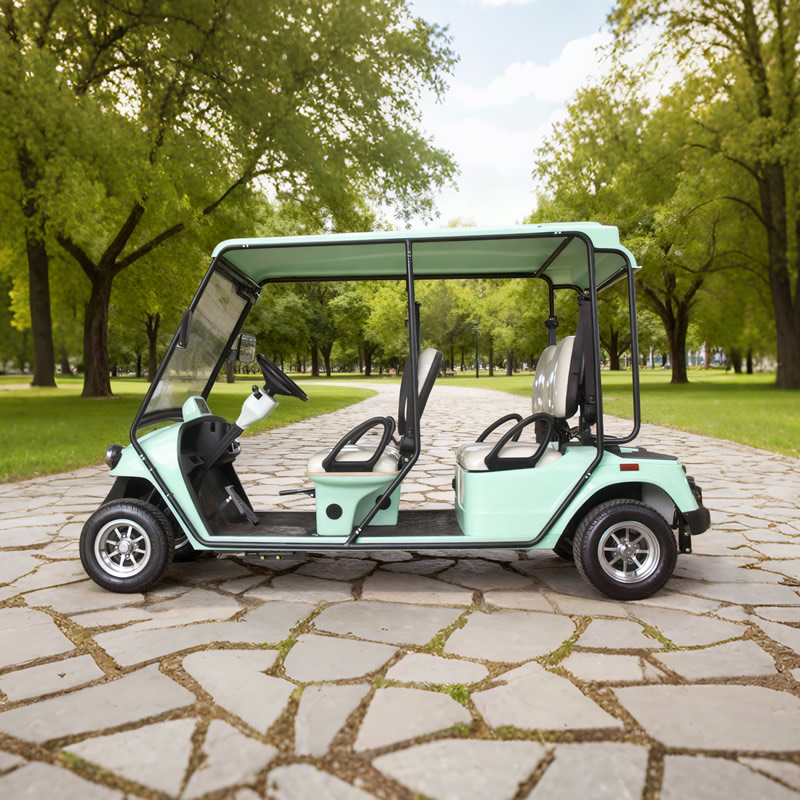 Custom Street Legal Electric Golf Cart