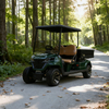 Heavy-Duty 2 Seater Utility Golf Cart with Cargo Box | China Factory Direct