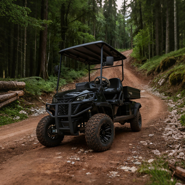 Electric Off Road Lifted Utility Golf Cart with Cargo Box
