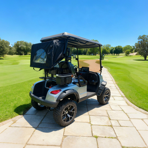 Custom 2 Person Electric Golf Cart