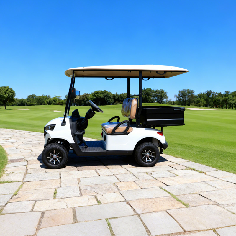 Mini Electric Golf Buggy Carts with Cargo Dump Bed - EG202EH