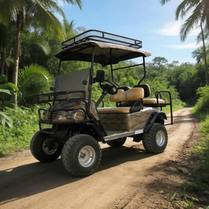 Top Manufacturer Electric Off Road Hunting Offroad Buggy Vehicle