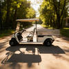 Golf Cart with Stainless steel Cargo Dump Bed