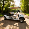 Utility Cargo Truck Golf Cart with Box