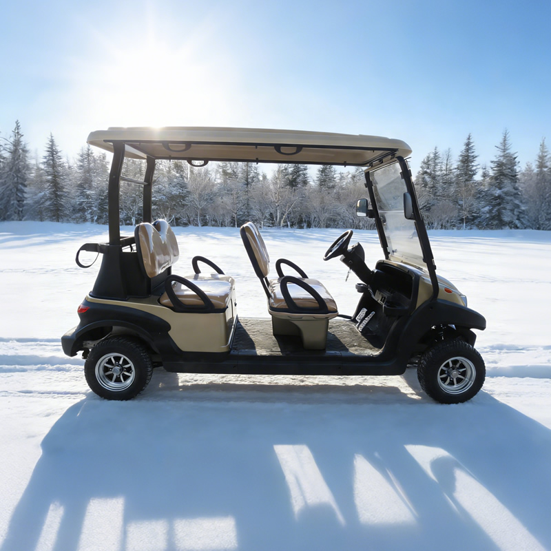 Four 4 Person Passenger Seater Electric Front Facing Golf Carts for Sale - Eagle Golf Cart