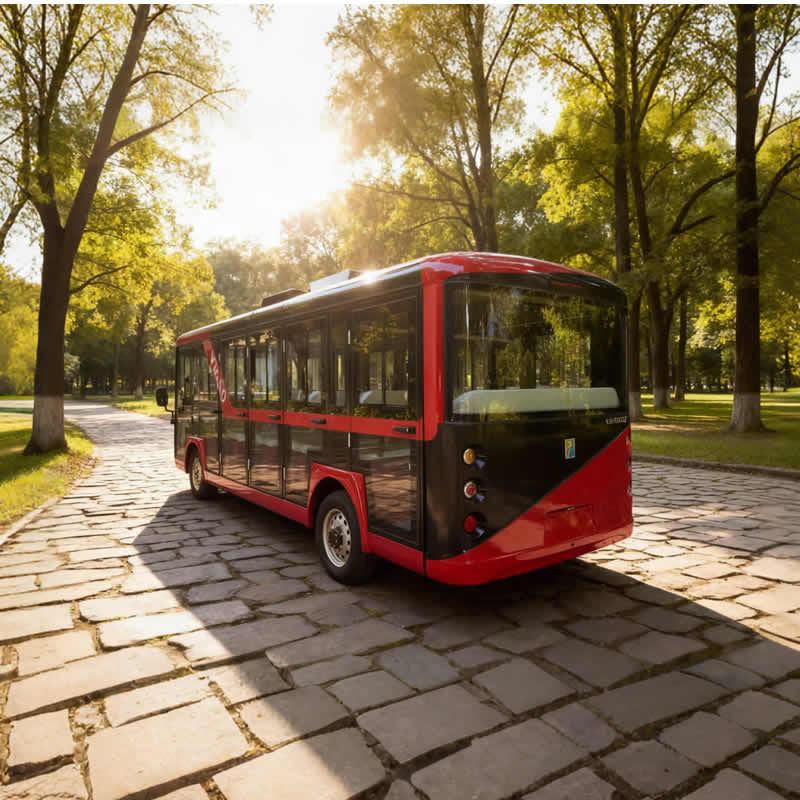 Electric Sightseeing Enclosed Mini Bus