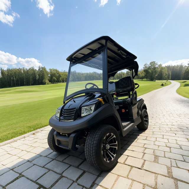 High Quality 2 Seater Mini Electric Battery Golf Cart