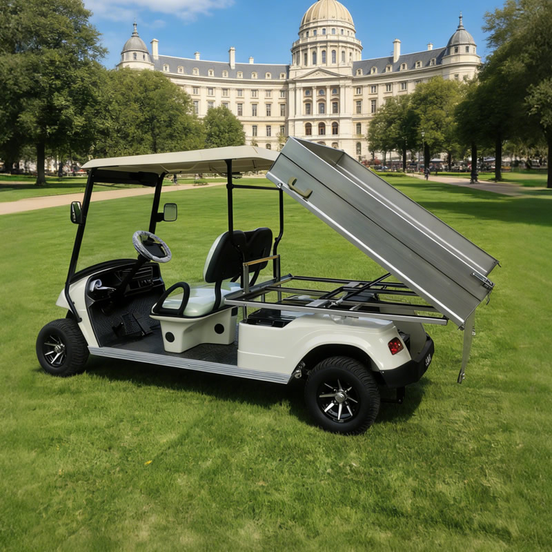 Golf Cart with Stainless steel Cargo Dump Bed
