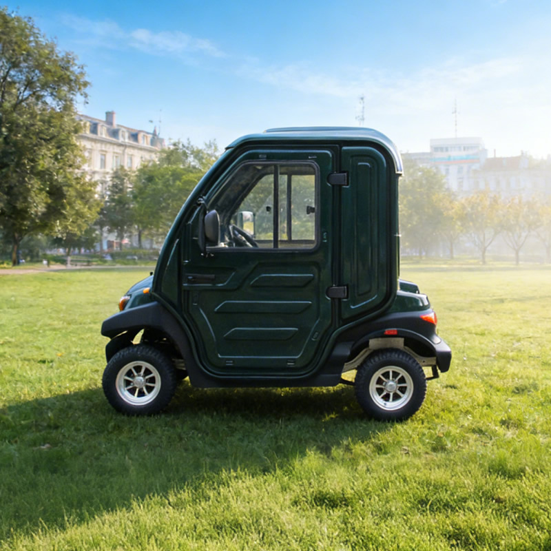 Enclosed 4 Wheel Electric Mobility Scooter, Mini Electric Car for Adult, China Manufacture