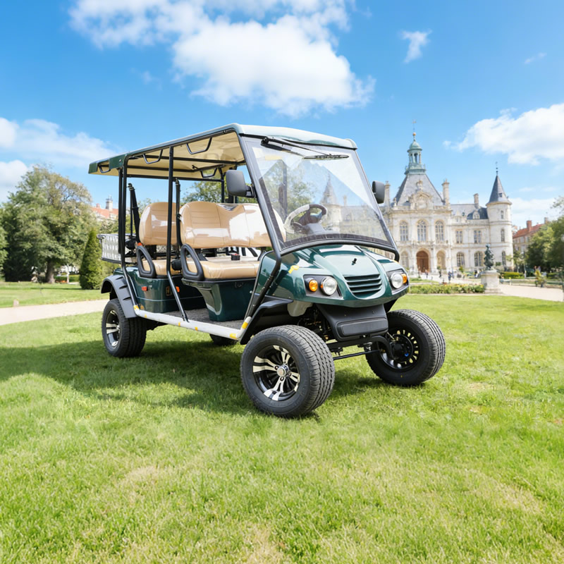 Custom Electric Hunting Off Road Golf Cart Cargo Truck Buggy Vehicle with Box Certification