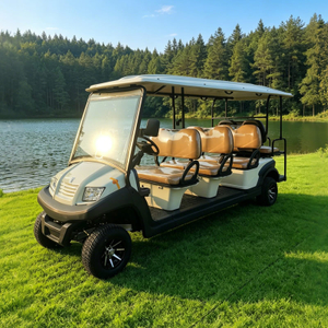 Eight 8 Passenger Person Seater Electric Buggy Golf Carts for Sale - Eagle Golf Cart
