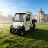 Electric Mini Truck: 2-Seater Street Legal Enclosed Utility Vehicle for Maintenance