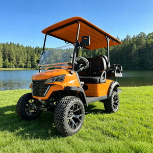Luxury lifted utility 2+2 4 person seater golf cart