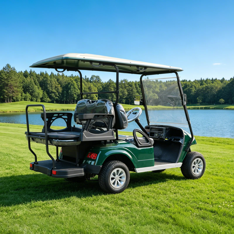 Custom Mini Electric LSV Golf Cart Golf Buggy Carts for Sale - Eagle Golf Cart