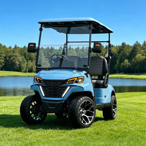 Chinese 2 Seat Electric Mini Golf Cart - Eagle