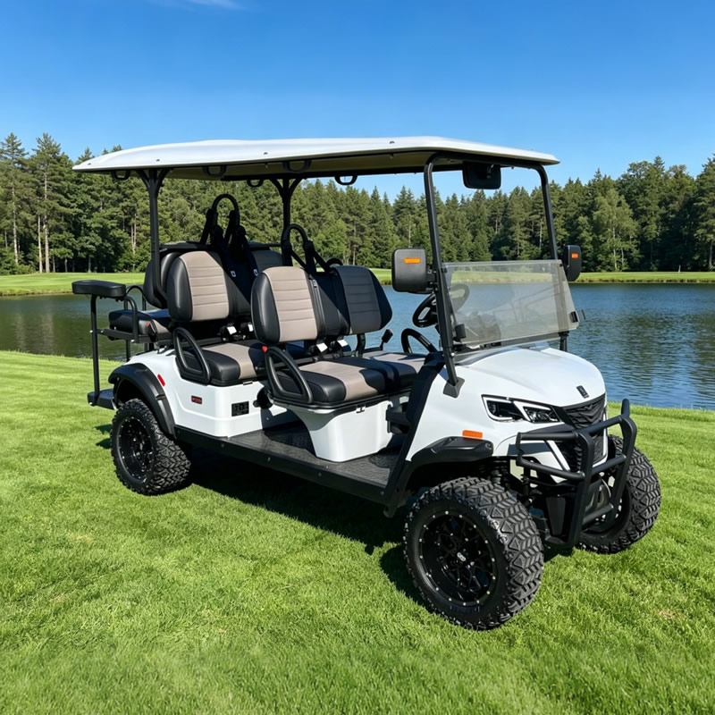  Hunting Electric 4+2 6 Seater Utility Golf Cart Manufacturer 
