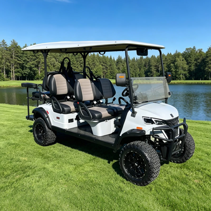  Hunting Electric 4+2 6 Seater Utility Golf Cart Manufacturer 