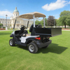 Custom utility golf cart with box manufacturer - Eagle Golf Cart