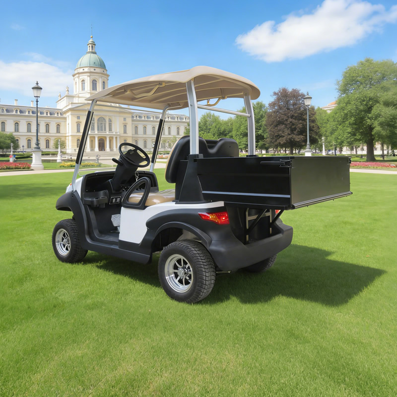 Custom utility golf cart with box manufacturer - Eagle Golf Cart