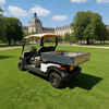 Electric Golf Cart Utility Cargo Bed Box For Sale